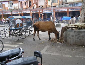 india_nepal_00110